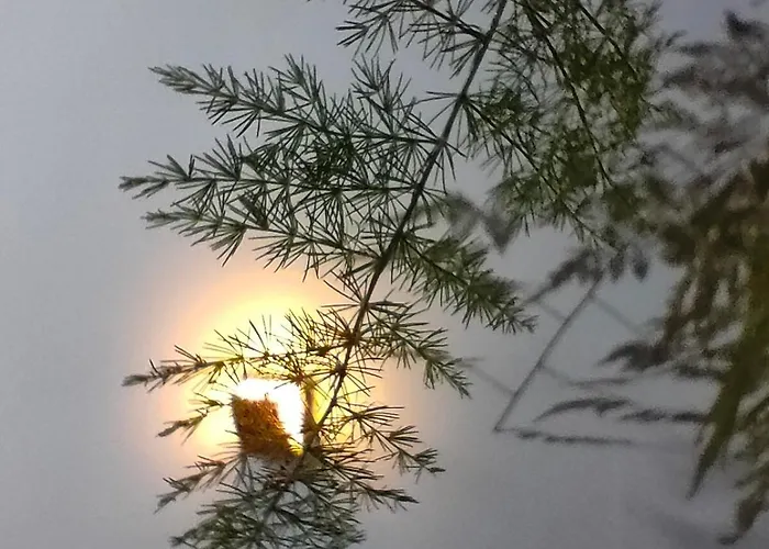 Shova's Katmandú